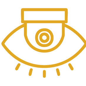 Advanced Camera Monitoring
